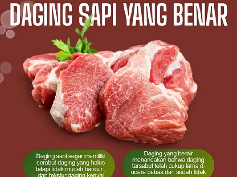 infografis daging
